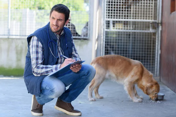 Dog Veterinarian Clinic Outdoors — Stock Photo, Image