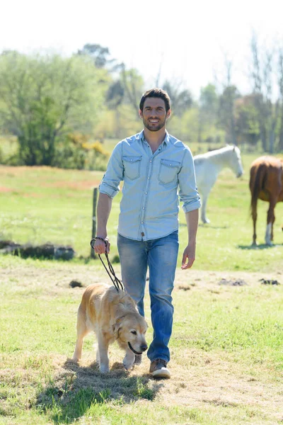 Homem Andando Com Seu Cão — Fotografia de Stock