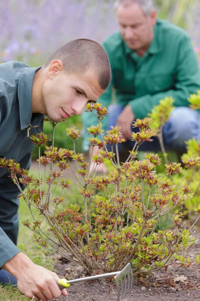 Joven Jardinero Rastrillando Tierra — Foto de Stock