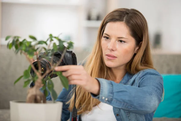 Mujer Tomando Macrofotografía Una Planta Casa —  Fotos de Stock