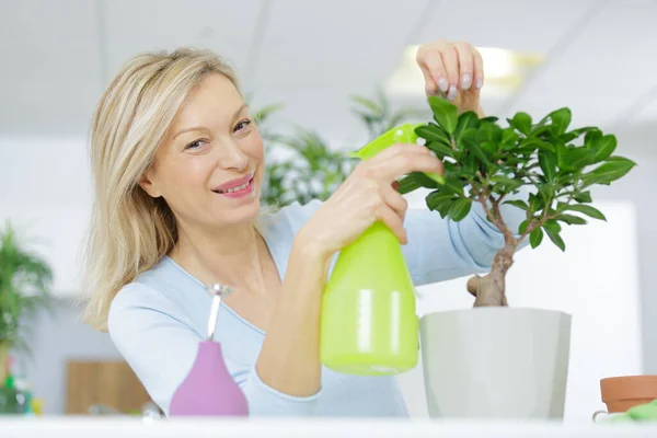 Kvinna Vattna Bonsai Träd — Stockfoto