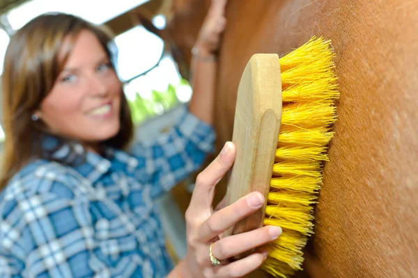 Atın Dişlerini Fırçalayan Kadın — Stok fotoğraf