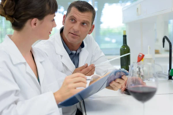 Mannelijke Vrouwelijke Wijnspecialisten Werkzaam Een Laboratorium — Stockfoto