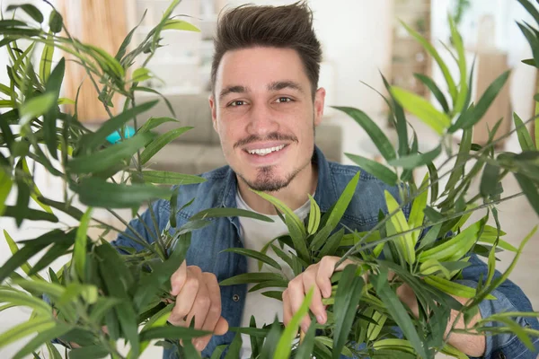 Photo Jardinier Amateur Regardant Travers Les Feuilles Plante Intérieur — Photo