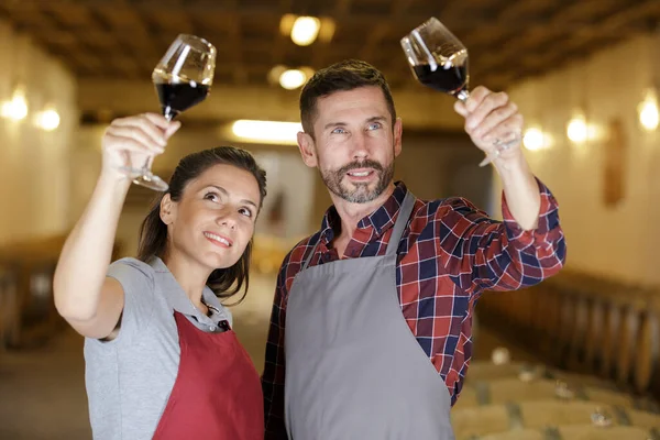 Pareja Bodega Viñedos Inspeccionando Vino Bodega — Foto de Stock