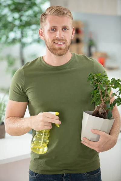 Mann Pflegt Bonsai Hause — Stockfoto