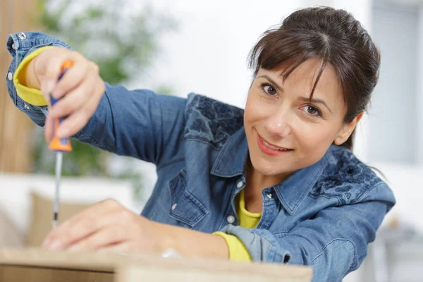 Happy Woman Doing Home Improvement — Stock fotografie