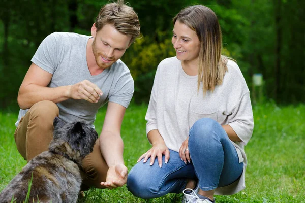 Couple Laying Pet — Stockfoto