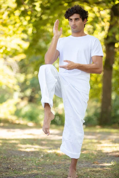 Hombre Practicando Deporte Artes Marciales — Foto de Stock