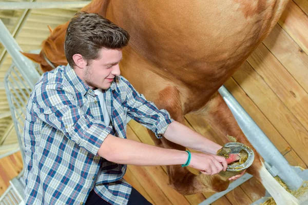 Menino Estável Cuidando Seu Cavalo — Fotografia de Stock