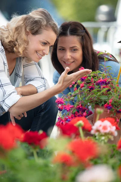 Twee Vrouwelijke Vrienden Kijken Naar Rode Bloemen — Stockfoto