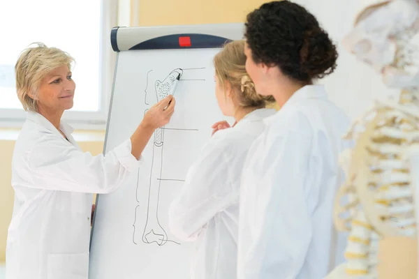 Two Young Women Studying Human Body — Stock Photo, Image