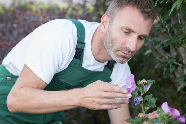 Homme Jardinage Extérieur Été Nature Coupe Roses — Photo