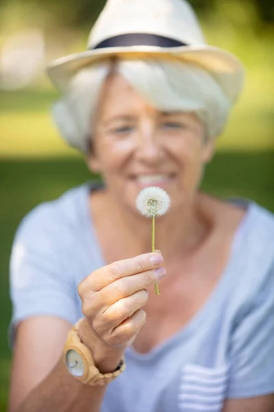 Seniorin Hält Löwenzahn Auf Der Wiese — Stockfoto