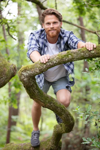 Heureux Jeune Homme Debout Sur Arbre — Photo