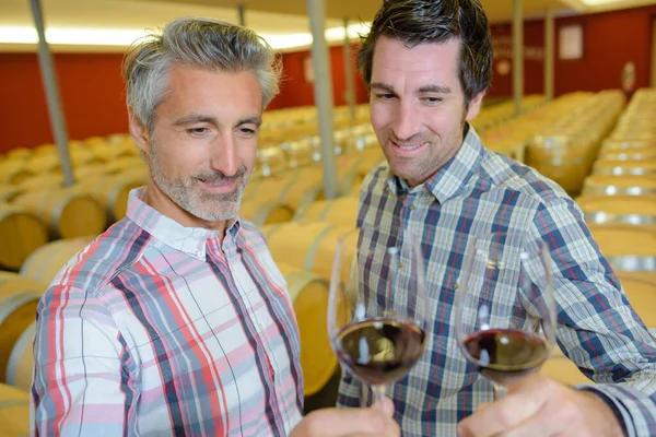 Mężczyźni Toasting Winiarni — Zdjęcie stockowe