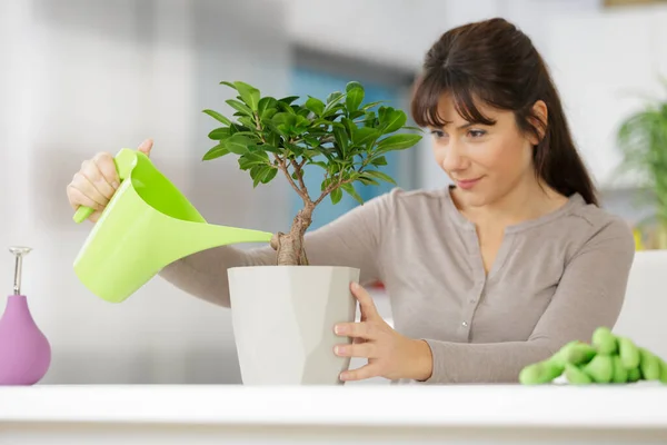 Frau Tränkt Bonsai Und Frau — Stockfoto