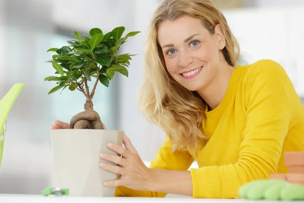 Giovane Donna Che Prende Cura Albero Bonsai — Foto Stock