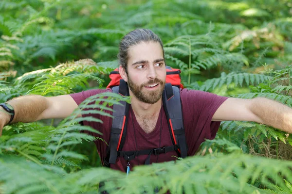 Man Navigating Himself Ferns — Stock Photo, Image