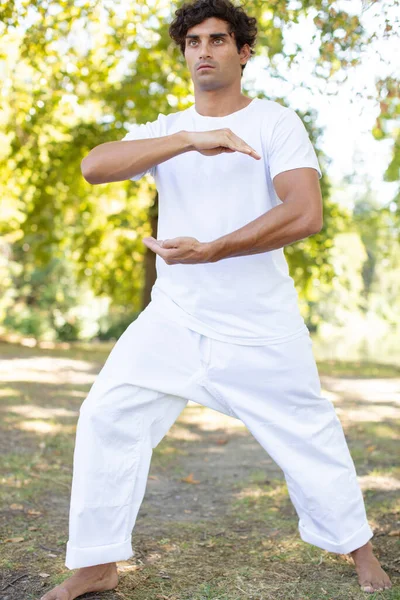 Fokussierter Junger Mann Praktiziert Tai Chi — Stockfoto