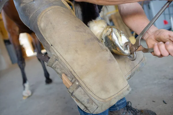 Blacksmith Work While Changing Horseshoe — Stock Photo, Image