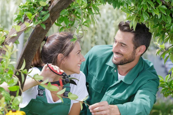 Homme Femme Travaillant Dans Jardin — Photo