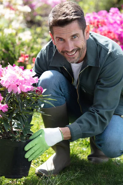 Schöner Mann Steckt Erde Blumentopf — Stockfoto