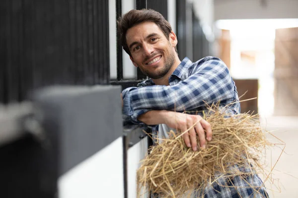 Homem Roupas Trabalho Alimentando Cavalo Com Feno Estábulo — Fotografia de Stock