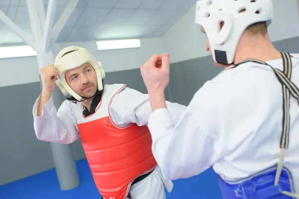 Dragen bescherming tijdens krijgskunst sessie — Stockfoto