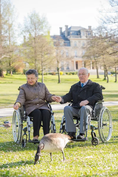 Casal de idosos no parque — Fotografia de Stock