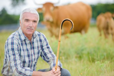 Herdsman in field and herdsman clipart