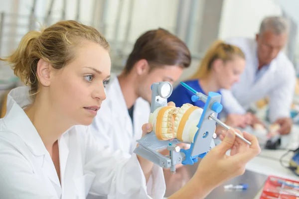 Técnico femenino sosteniendo prótesis dentales en una abrazadera —  Fotos de Stock
