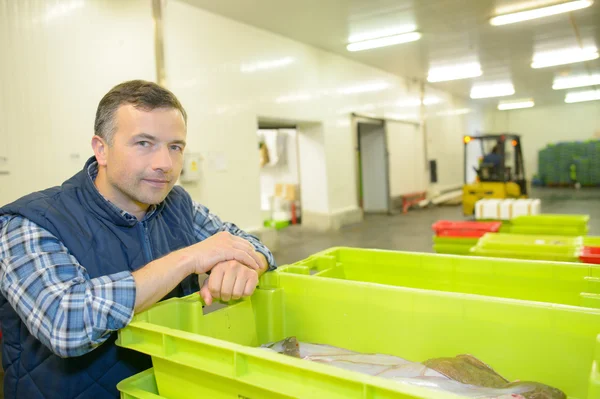 Grote vissen in de container — Stockfoto