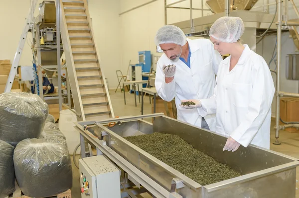 Dry food factory and man — Stock Photo, Image