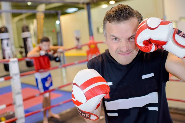 Boxer och unga medelålders — Stockfoto