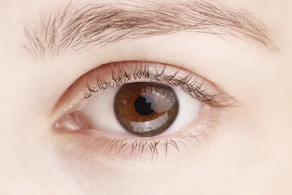 Visão de perto de um olho de mulher marrom — Fotografia de Stock