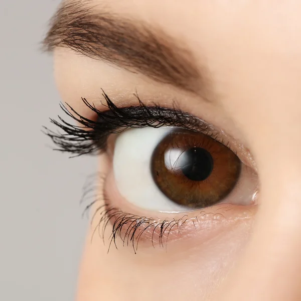 Close-up van een bruine vrouw eye camera kijken — Stockfoto