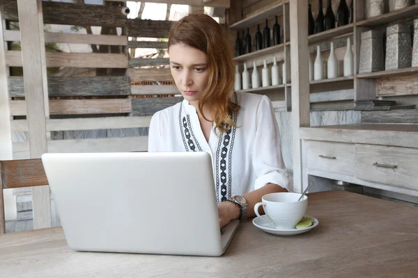 Jovem mulher usando laptop enquanto bebe chá — Fotografia de Stock