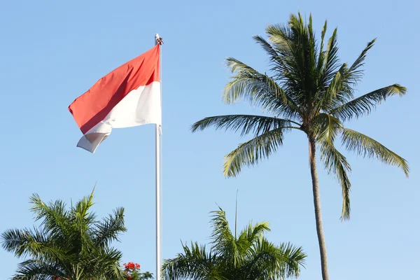 Відкритий пагонів Індонезійська прапор — стокове фото