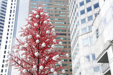 Noel ağacı önünde modern binalar