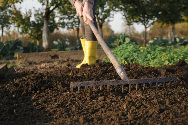 Mujer Con Botas Goma Amarillas Trabajando Jardín Con Suelo Nivelador — Foto de Stock