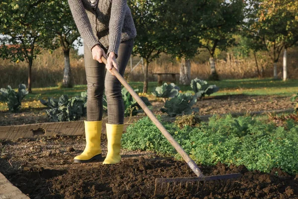 Frau Gelben Gummistiefeln Arbeitet Garten Mit Rechen Bodenvorbereitung Für Aussaat — Stockfoto