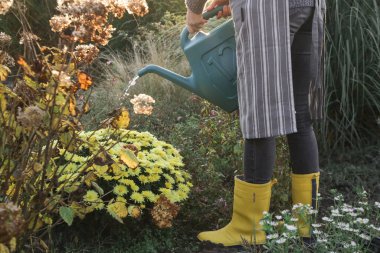Sarı çizmeli genç bahçıvan bahçede çiçekleri suluyor..