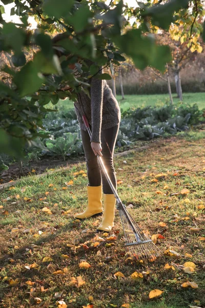 Κηπουρός Γυναίκα Κίτρινες Λαστιχένιες Μπότες Τσουγκρανίζει Ξηρά Φύλλα Του Φθινοπώρου — Φωτογραφία Αρχείου