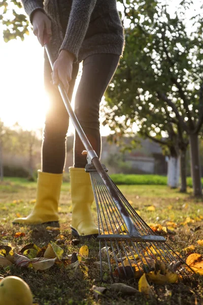 Gärtnerin Gelben Gummistiefeln Harkt Trockenes Herbstlaub Garten Herbstarbeit Garten — Stockfoto