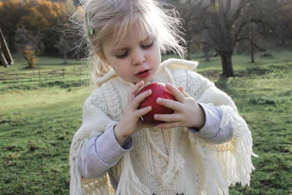 Árvore Bonito Anos Menina Comendo Maçã Orgânica Vermelha Conceito Infância — Fotografia de Stock