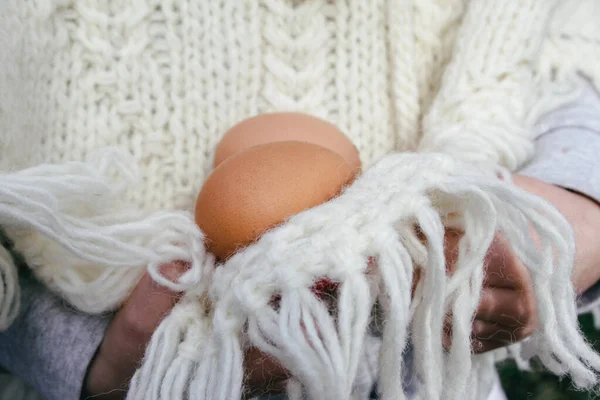 Peuter Meisje Wol Trui Met Verse Biologische Eieren Boerderij — Stockfoto