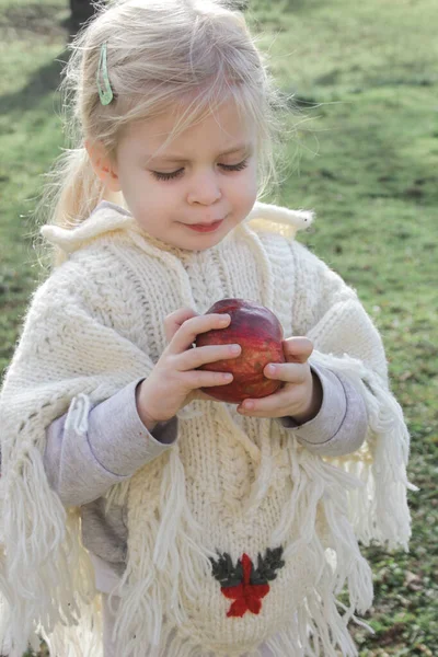 Árvore Bonito Anos Menina Comendo Maçã Orgânica Vermelha Conceito Infância — Fotografia de Stock