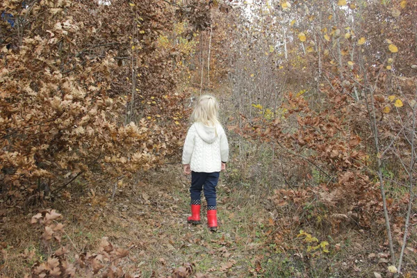 Vista Trasera Años Edad Adorable Chica Rubia Caminando Bosque Otoño —  Fotos de Stock