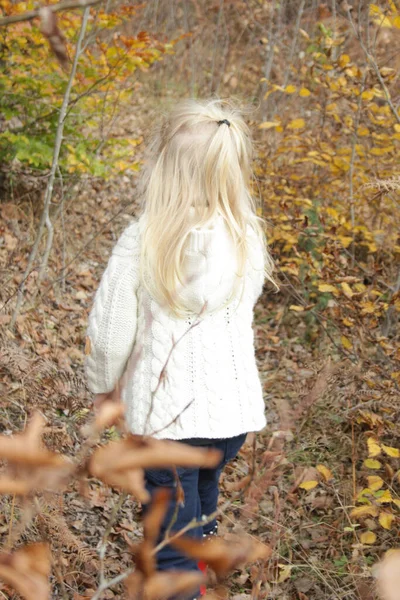 Back View Years Old Adorable Blonde Girl Walking Autumn Forest — Stock fotografie